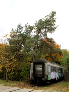 20171106Silberling1