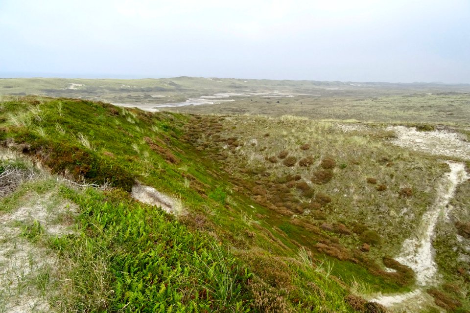 20170926_Schoorlsche_Duinen2