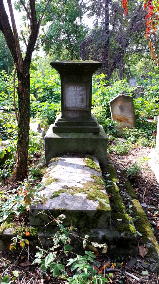 20171004_140219_Old_Jewish_Cemetery_in_Bacău