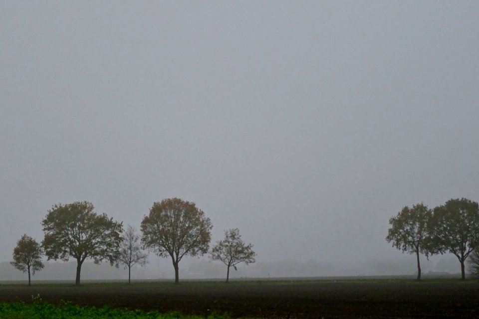 20171107_Zicht_op_Borgercompagnie_vanaf_Zeilmeer