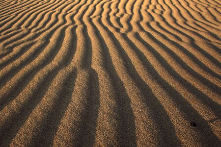Dry landscape pattern photo