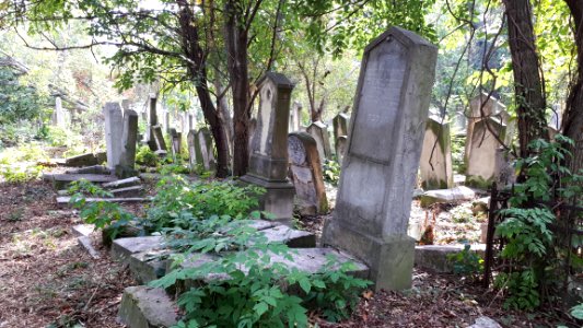 20171004_135845_Old_Jewish_Cemetery_in_Bacău