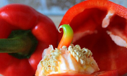 Food healthy red pepper photo