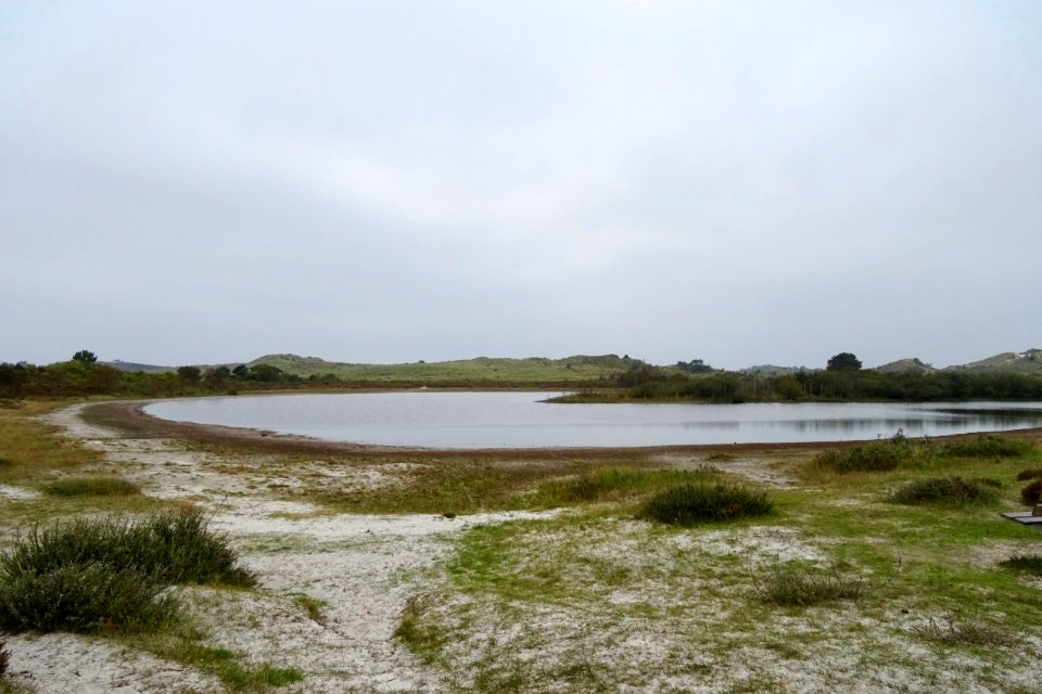 20170926_Schoorlsche_Duinen13