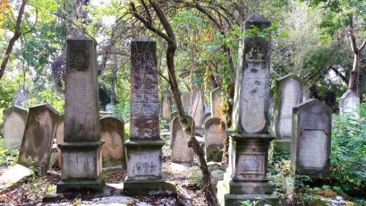 20171004_140137_Old_Jewish_Cemetery_in_Bacău