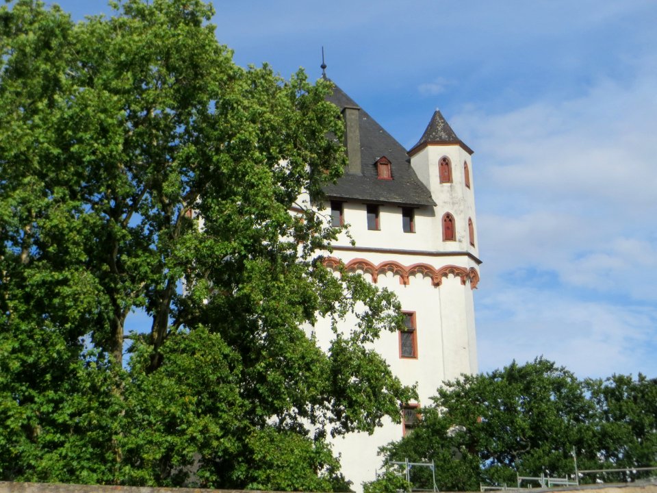 20170723Burg_Eltville5