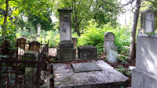 20171004_135842_Old_Jewish_Cemetery_in_Bacău
