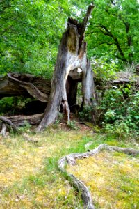20170610_Borkener_paradies2