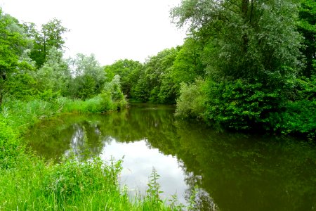 20170610_oude_meander_Eems6_Borkener_paradies