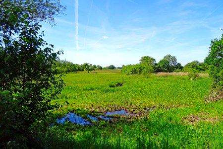 20170601_Nationaal_Park_De_Drentsche_Aa_ten_zuiden_van_Oudemolen3