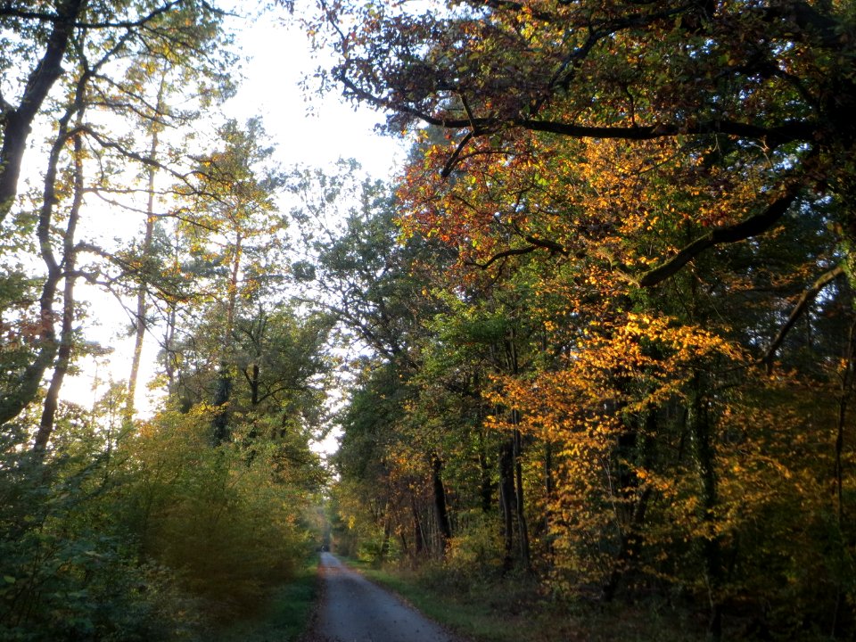 20171017Schwetzinger_Hardt