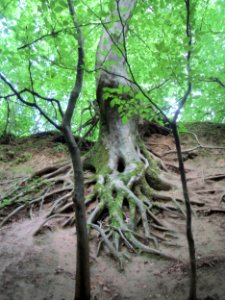 20170815Weiße_Hohle8