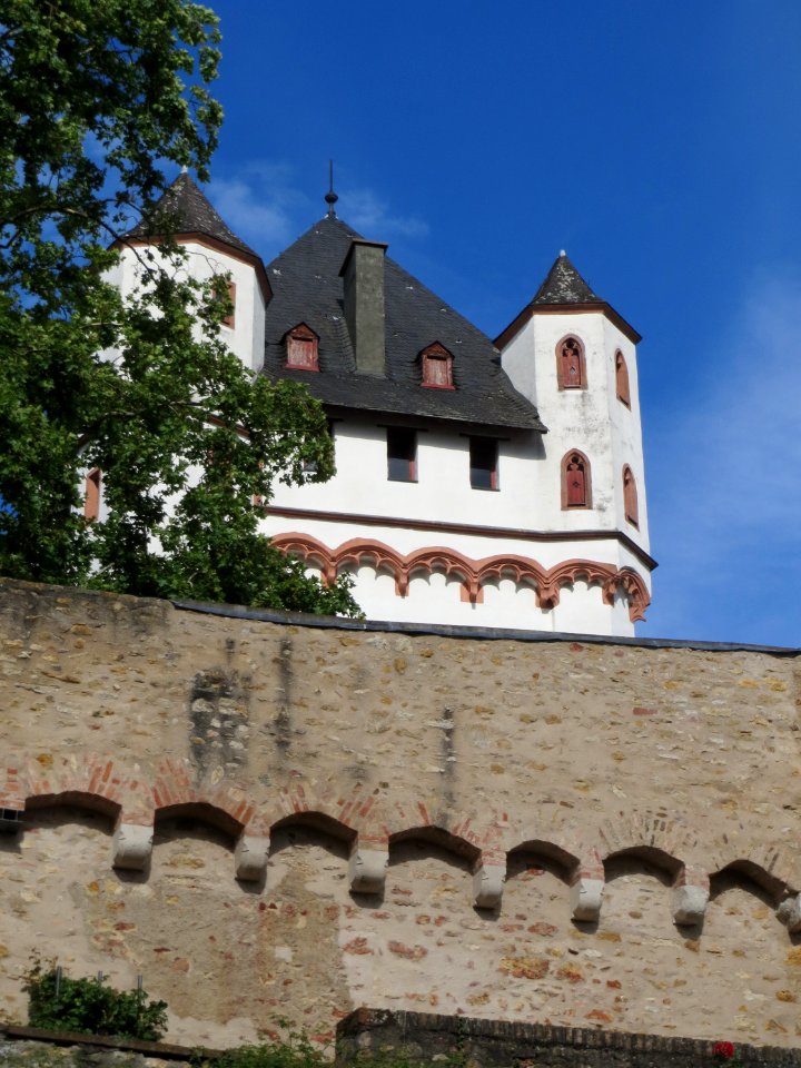 20170723Burg_Eltville4