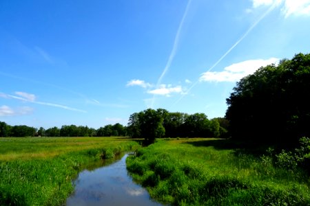 20170601_Nationaal_Park_De_Drentsche_Aa_Oudemolensche_Diep4