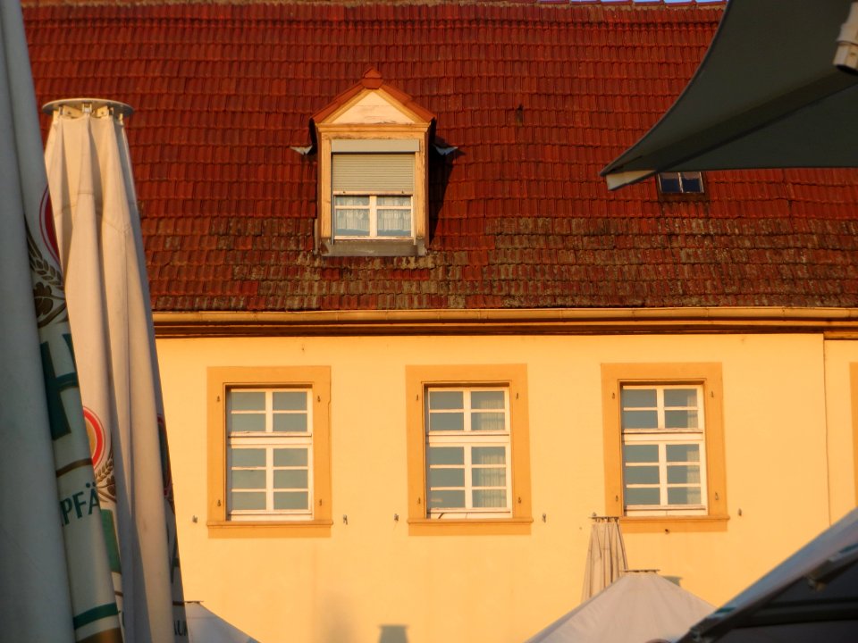 20170903Zum_Gruenen_Baum_Schwetzingen2