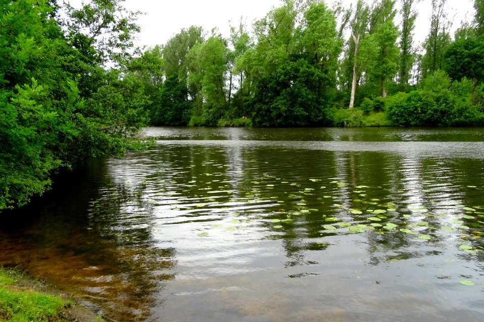 20170610_oude_meander_Eems5_Borkener_paradies