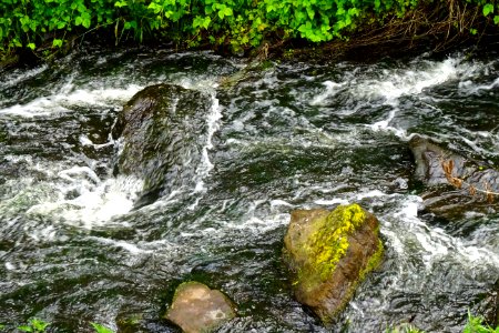 20170610_stroomversnelling_Borkener_paradies