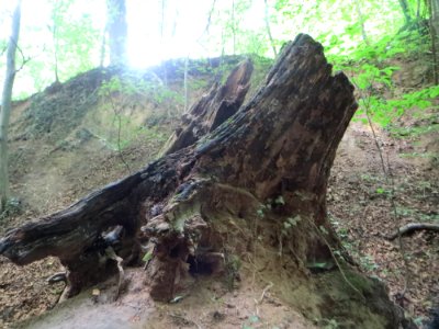 20170815Weiße_Hohle1