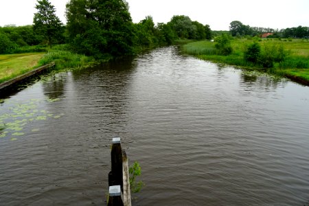 20170608_Linde_tussen_Wolvega_en_de_Blesse