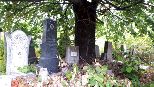 20171004_125830_Jewish_cemetery_in_Bacău