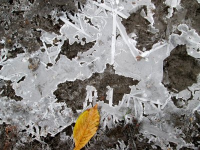 20171202Eispfuetze_Hockenheim1