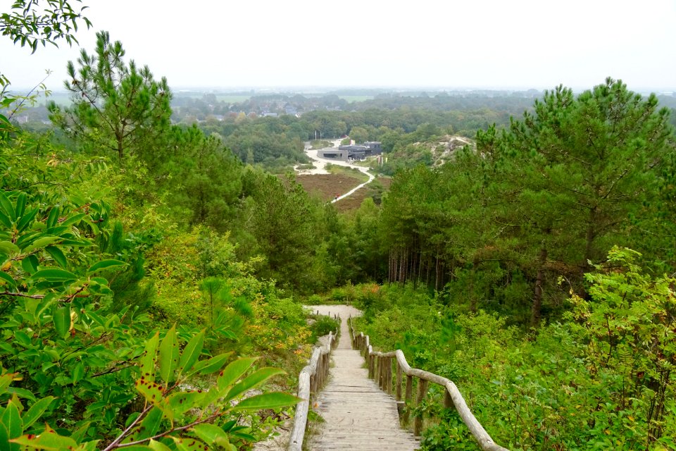 20170926_Schoorlsche_Duinen_zicht_op_Buitencentrum1
