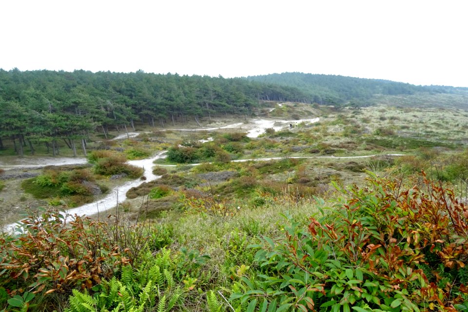 20170926_Schoorlsche_Duinen3