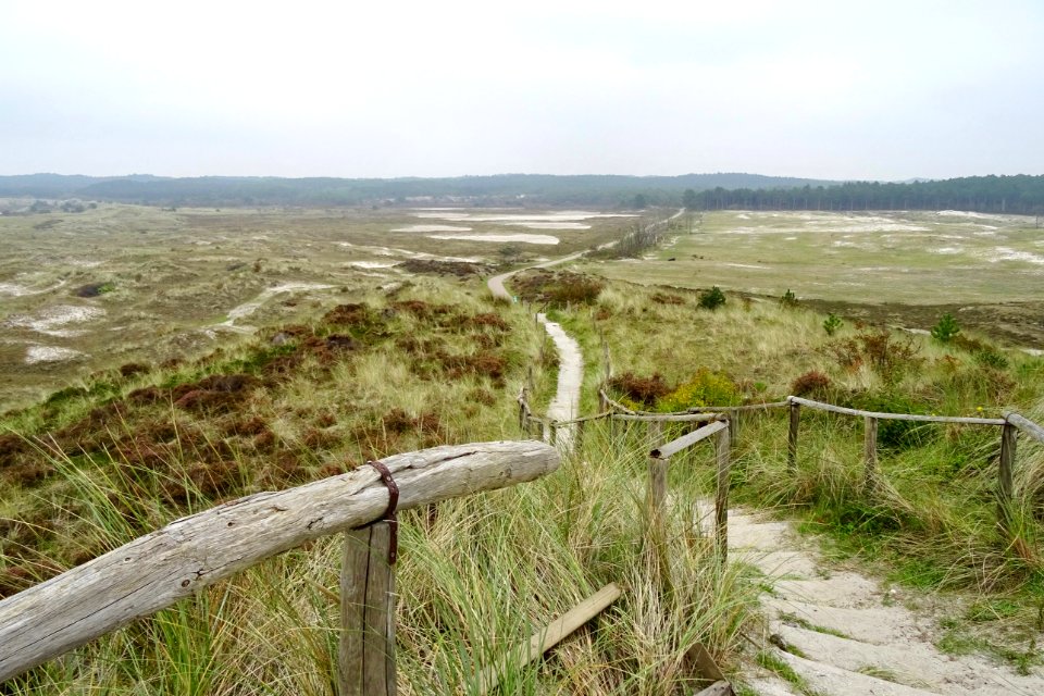 20170926_Schoorlsche_Duinen8