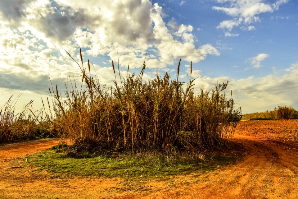 Rural landscape nature photo