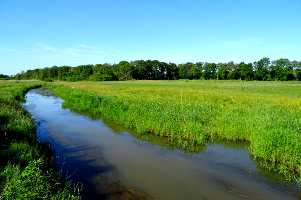 20170601_Nationaal_Park_De_Drentsche_Aa_Oudemolensche_Diep5