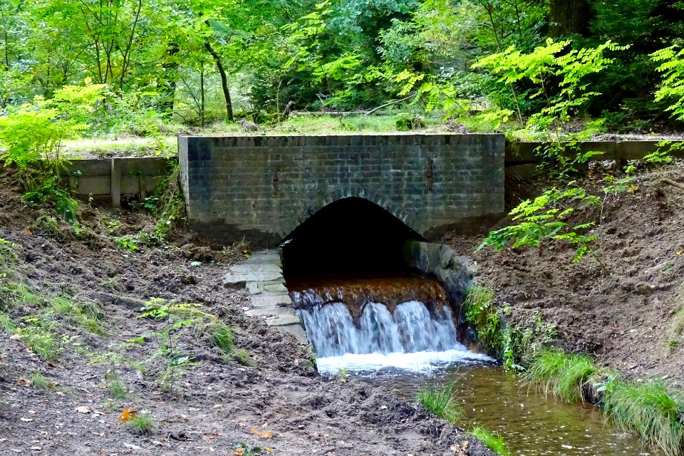 20170921_Watervalletje_met_brug_in_de_Vrijenbergerspreng_nabij_Loenen