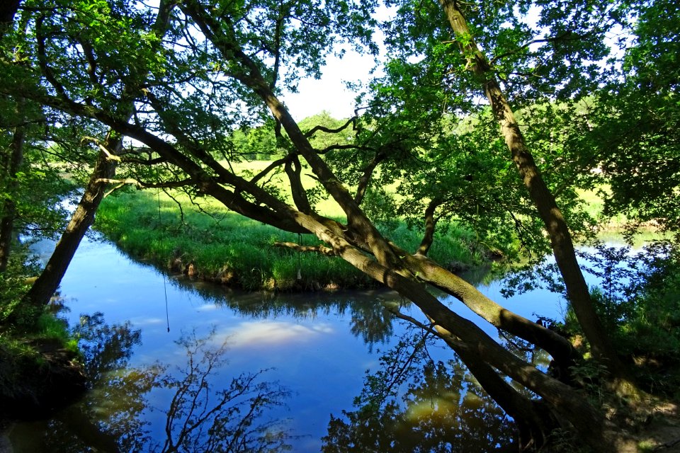 20170601_Nationaal_Park_De_Drentsche_Aa_Oudemolensche_Diep6