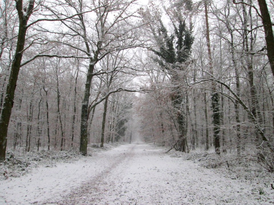 20171203Schwetzinger_Hardt