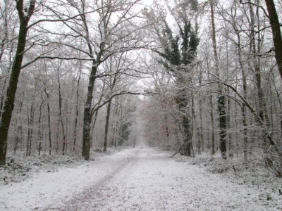 20171203Schwetzinger_Hardt