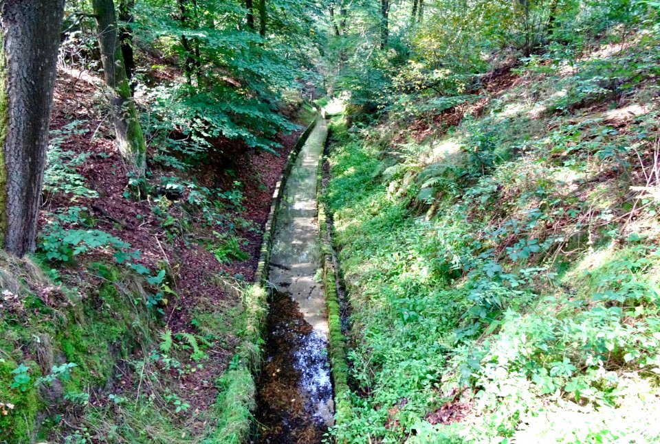20170921_Coldenhovense_beek1