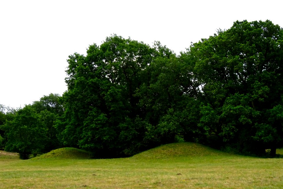 20170610_Rivierduinen2_Borkener_paradies