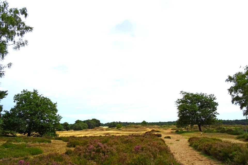 20170802_Wekeromsezand4