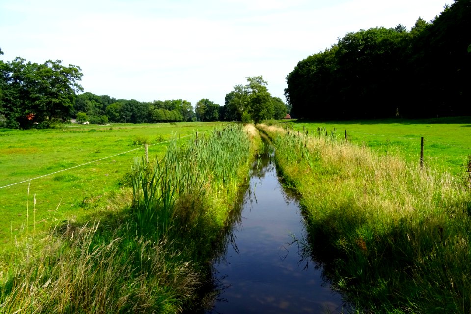 20170807_Beek_nabij_Bennekom_Renkum