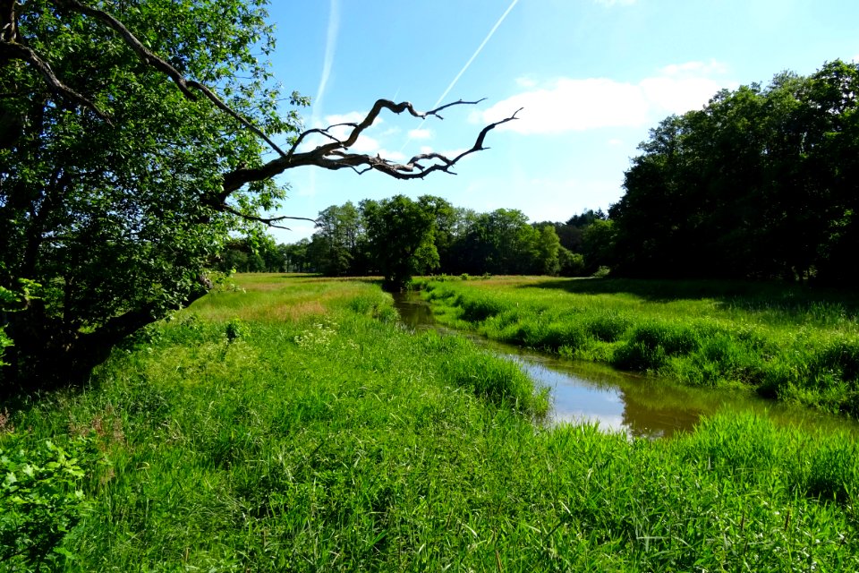 20170601_Nationaal_Park_De_Drentsche_Aa_Oudemolensche_Diep1