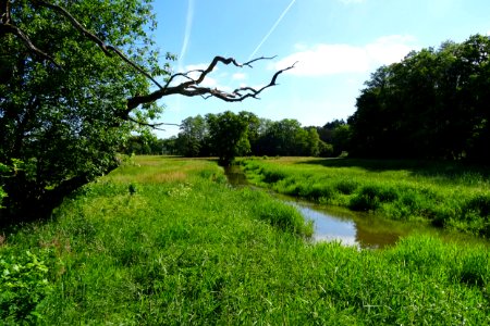 20170601_Nationaal_Park_De_Drentsche_Aa_Oudemolensche_Diep1