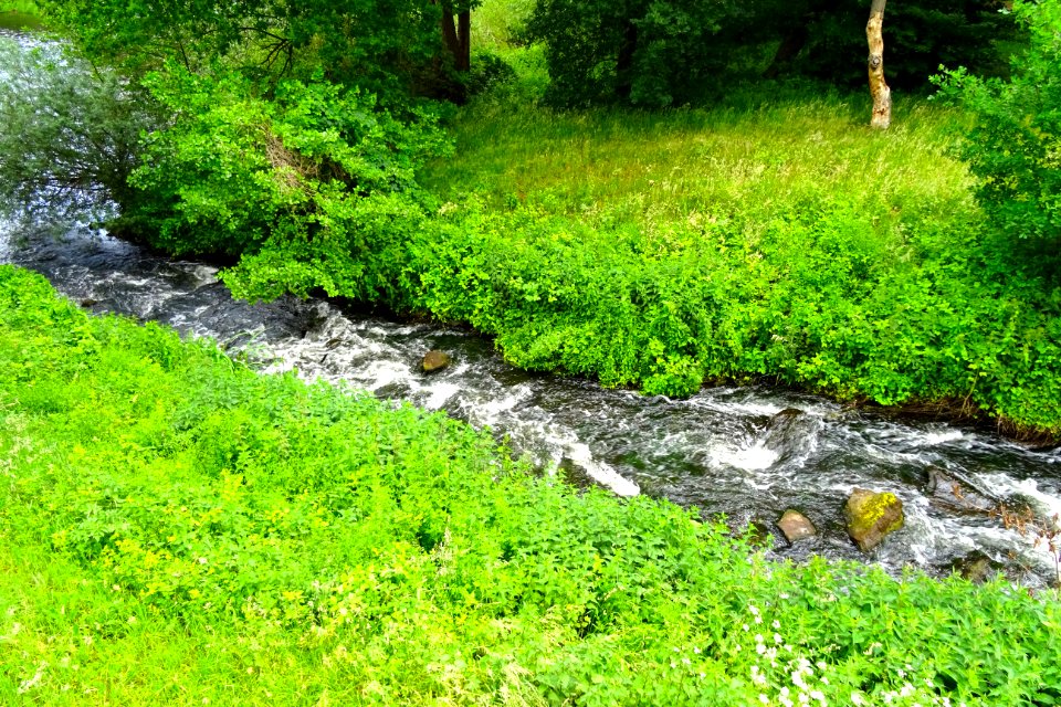 20170610_Borkener_paradies