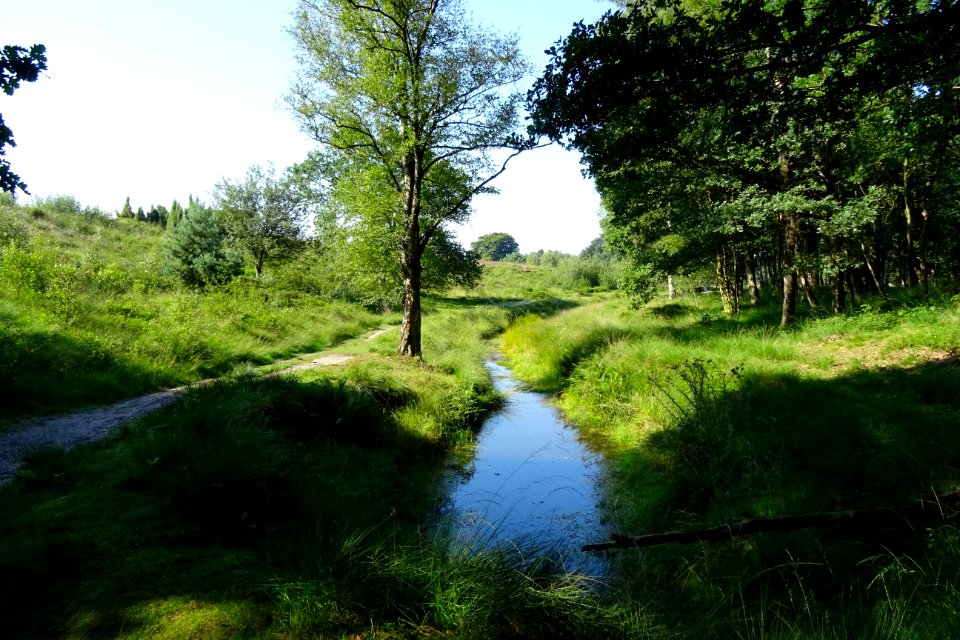 20170814_Heelsumsche_Beek3