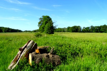 20170601_Nationaal_Park_De_Drentsche_Aa_nabij_Oudemolen