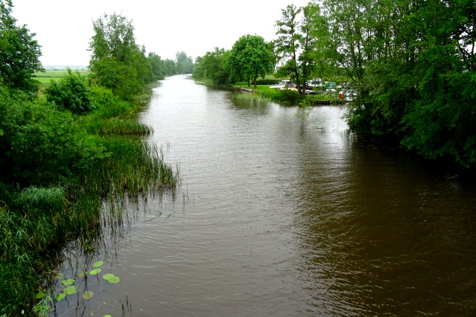 20170608_Linde1_tussen_Wolvega_en_de_Blesse