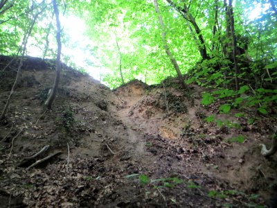 20170815Weiße_Hohle2