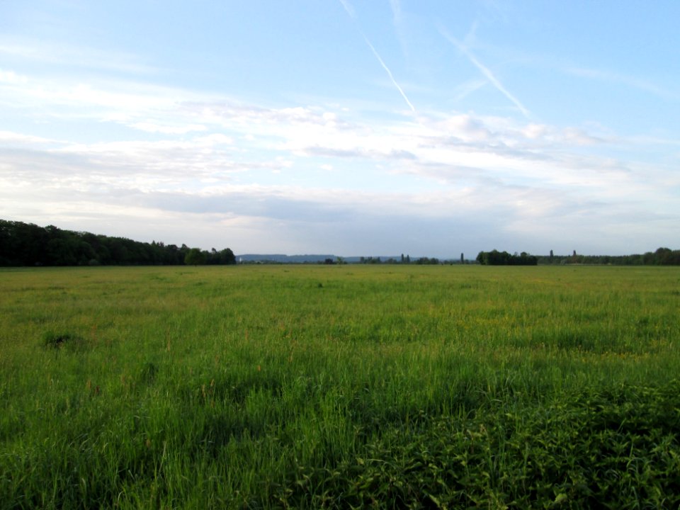 20180428Saalbachniederung1