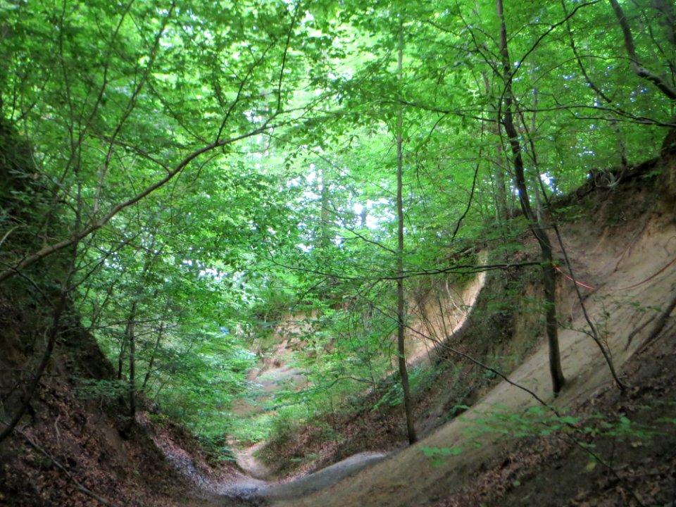 20170815Weiße_Hohle4