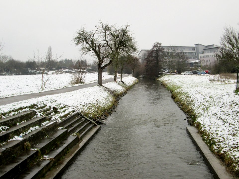 20171204Kraichbach2