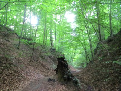 20170815Weiße_Hohle3