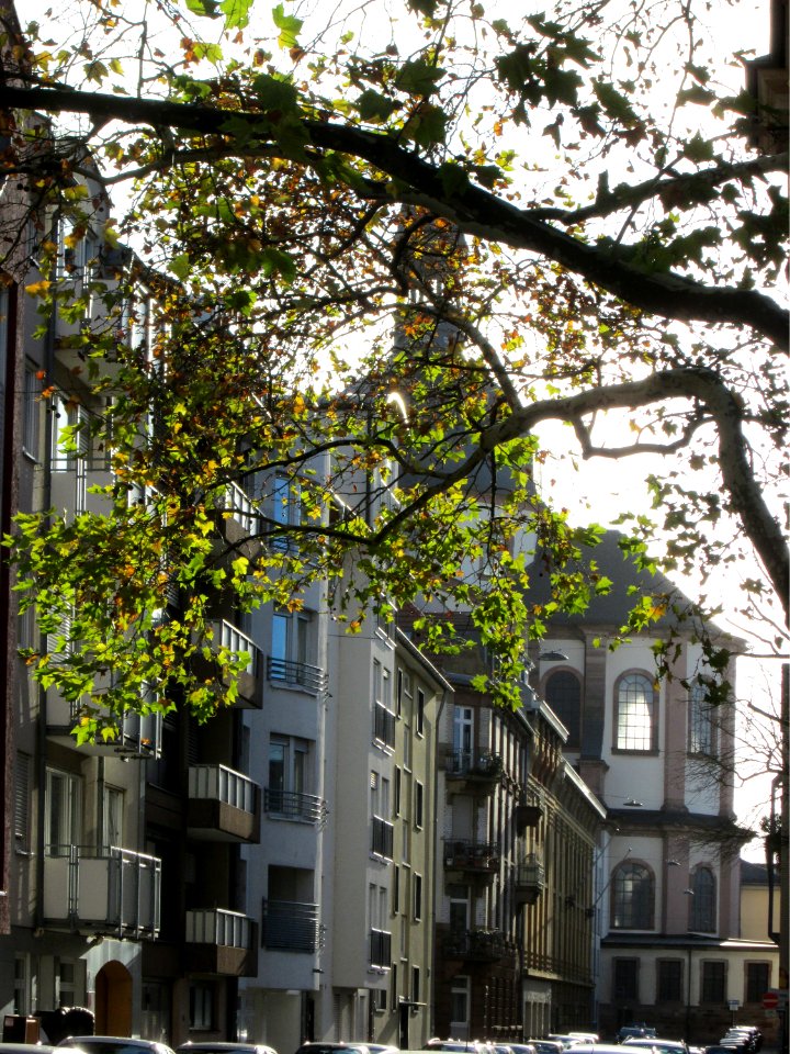 20171119Jesuitenkirche_Mannheim1